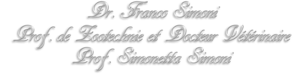 FrancoSimoni2 FrancoSimoni2