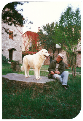 Professionelle Zucht Jacopone de Todi seit 1950 Abruzzen Maremma Schäferhund Professionelle Zucht Jacopone de Todi seit 1950 Abruzzen Maremma Schäferhund