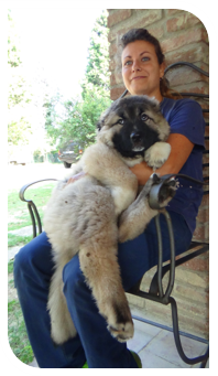 Kaukasische Schäferhund Jacopone da Todi
