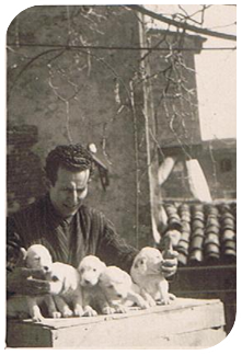 Professionelle Zucht Jacopone de Todi seit 1950 Abruzzen Maremma Schäferhund Professionelle Zucht Jacopone de Todi seit 1950 Abruzzen Maremma Schäferhund