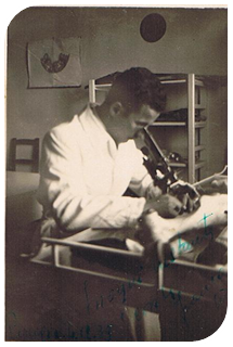 Professionelle Zucht Jacopone de Todi seit 1950 Abruzzen Maremma Schäferhund Professionelle Zucht Jacopone de Todi seit 1950 Abruzzen Maremma Schäferhund