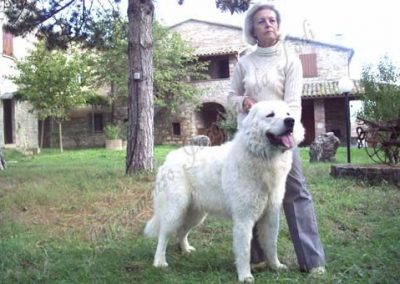 Uscio Jacopone von Todi