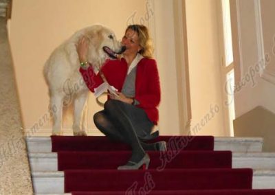 Buchvorstellung des Buches "Ein Hund in der Familie" von Maria Luisa Cocozza.