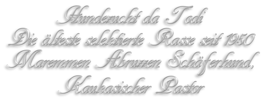 Hundezucht maremmanen Hundezucht maremmanen
